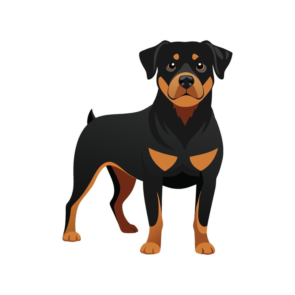 Stylized Rottweiler Art for Unique Pet Illustration vector