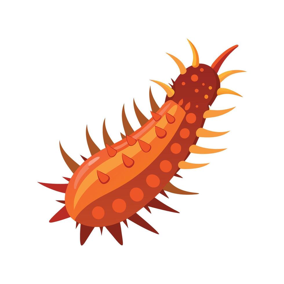 Stylized Sea Cucumber Art for Creatives vector