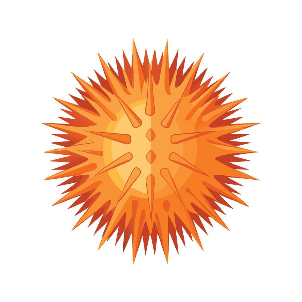 Stylized Sea Urchin Art for Unique Wildlife vector