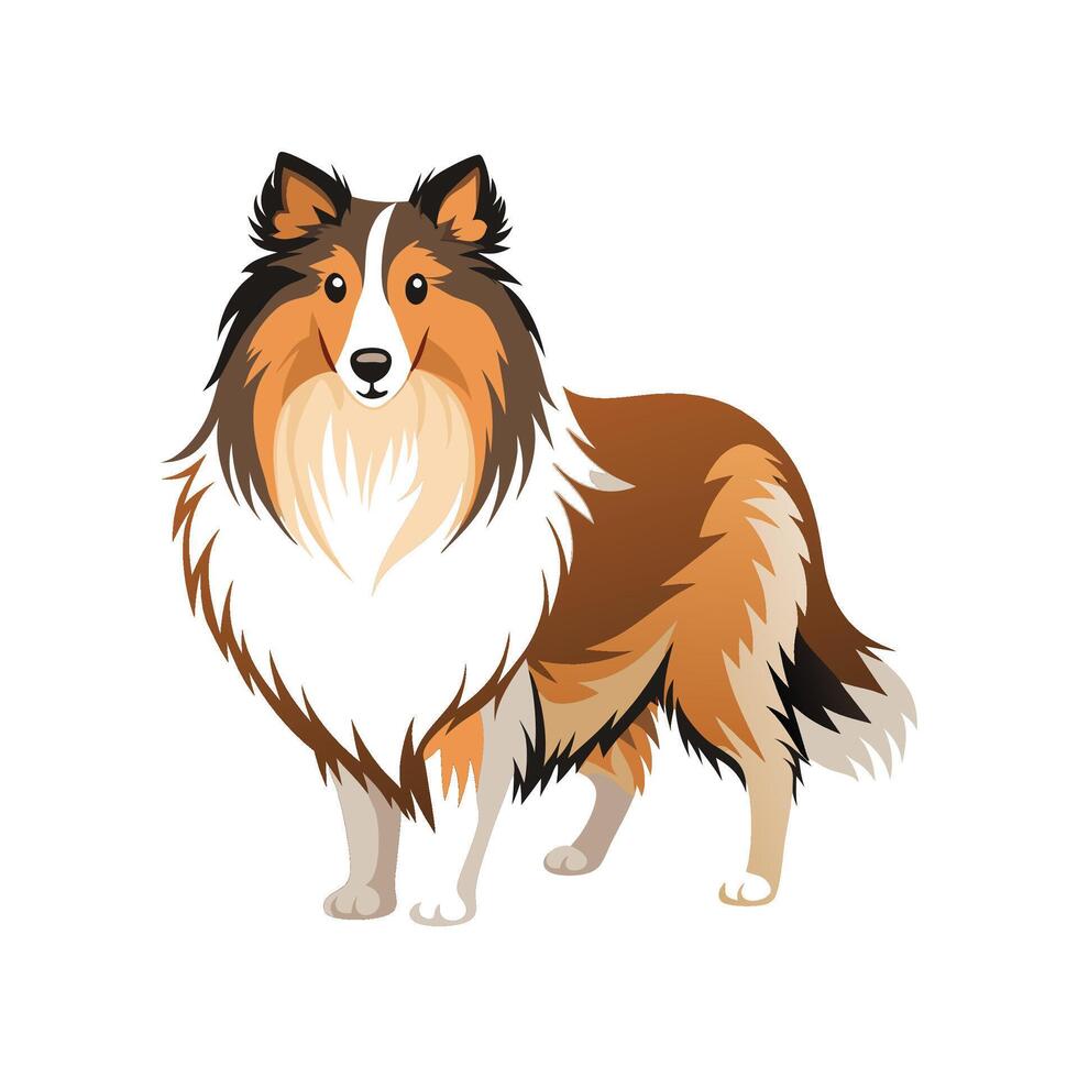 Shetland Sheepdog Illustration for Dog Lovers vector