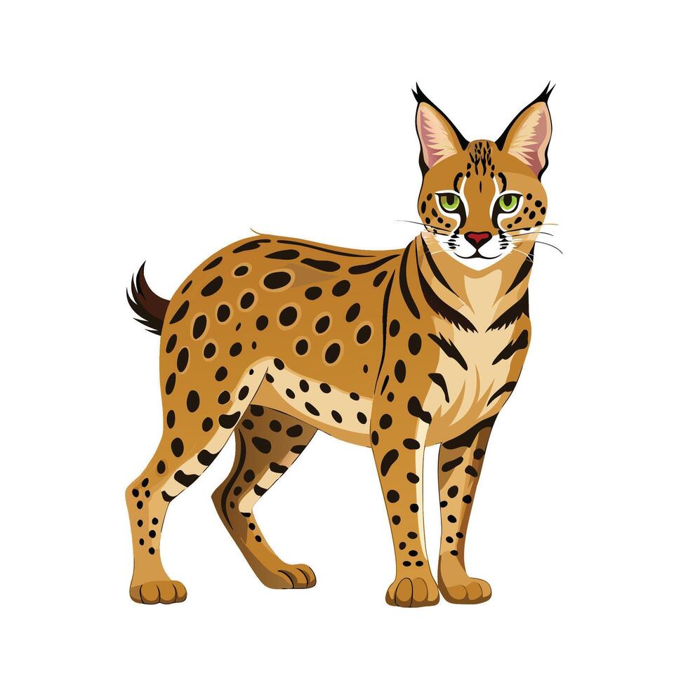 Stylized Serval Art for Unique Wildlife vector