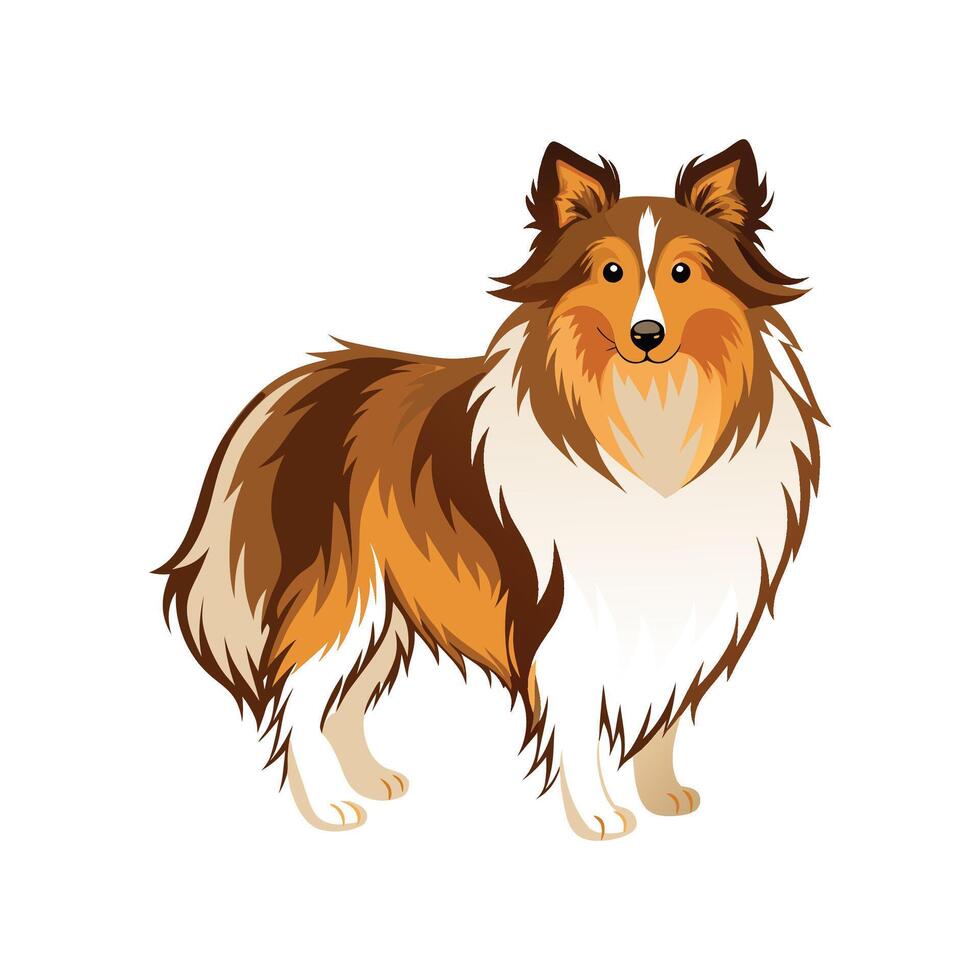 Creative Shetland Sheepdog for Pet Art vector