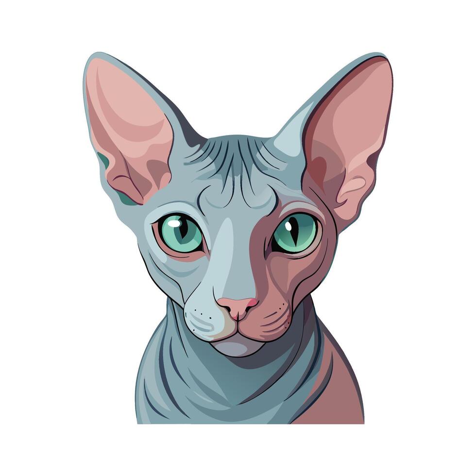 Charming Sphynx Cat Illustration for Cat Lovers vector