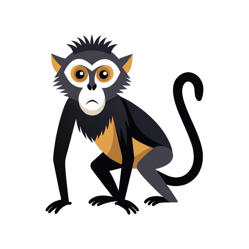 Charming Spider Monkey Illustration for Wildlife vector
