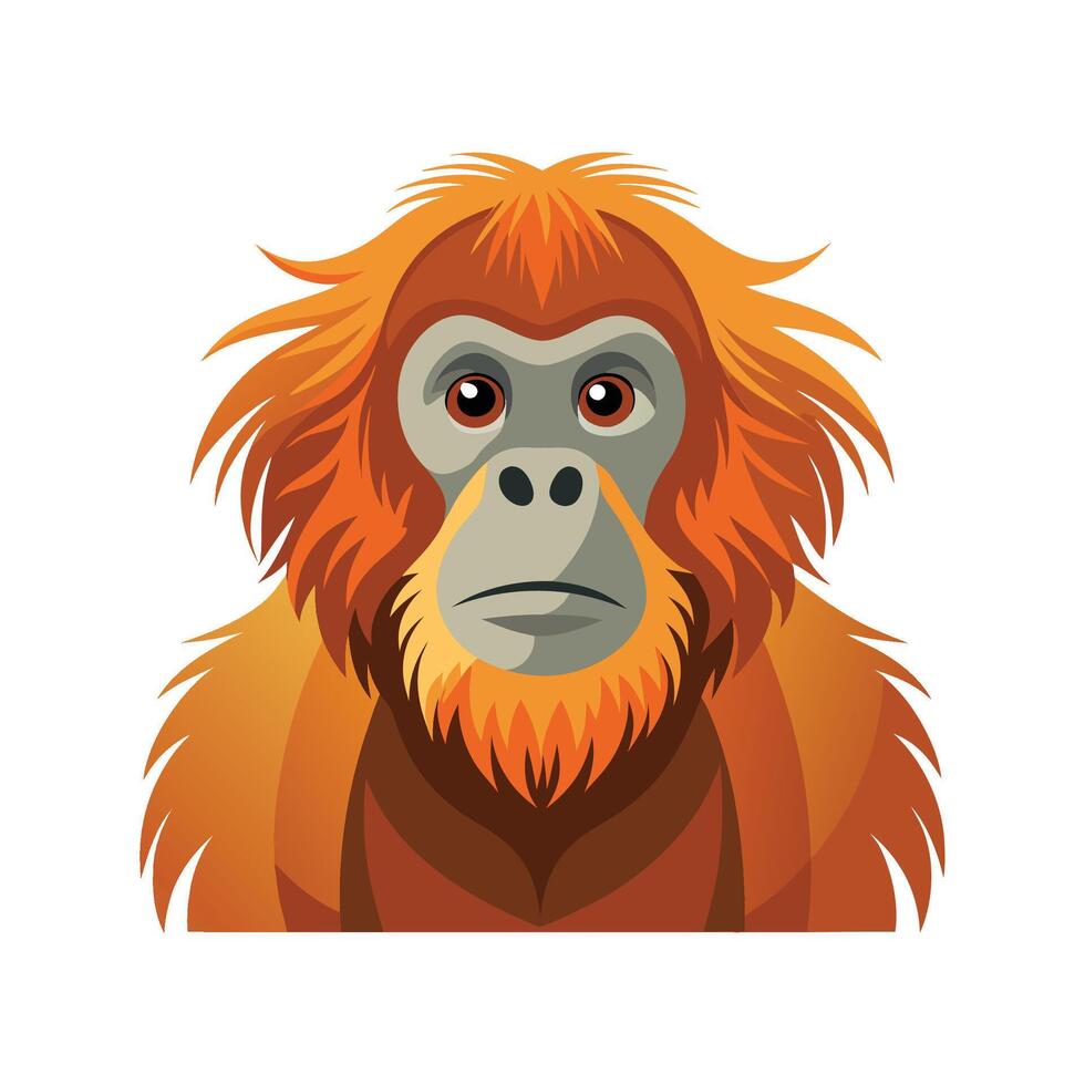 Sumatran Orangutan Illustration for Unique Wildlife Art vector