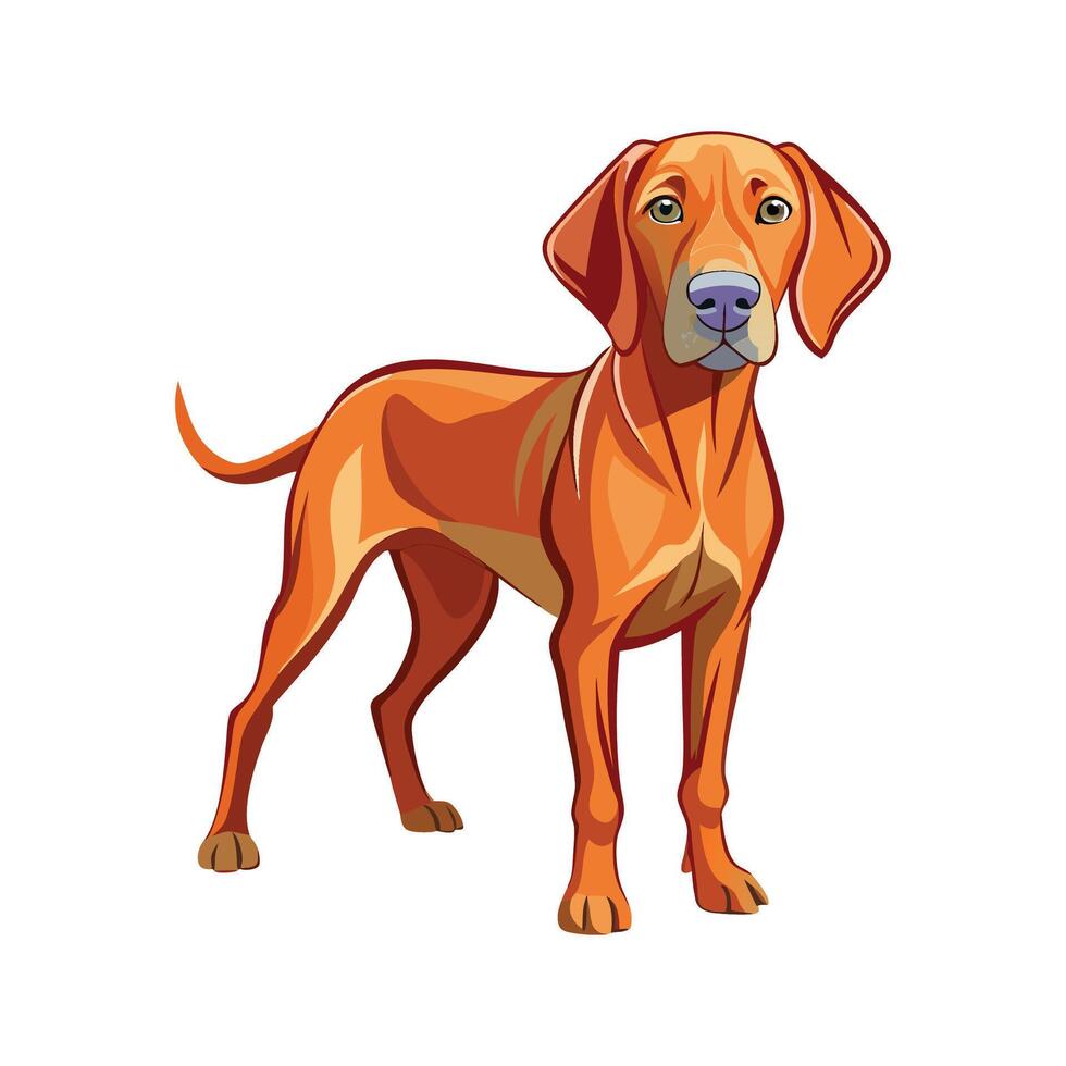 Creative Vizsla for Unique Pet Art vector