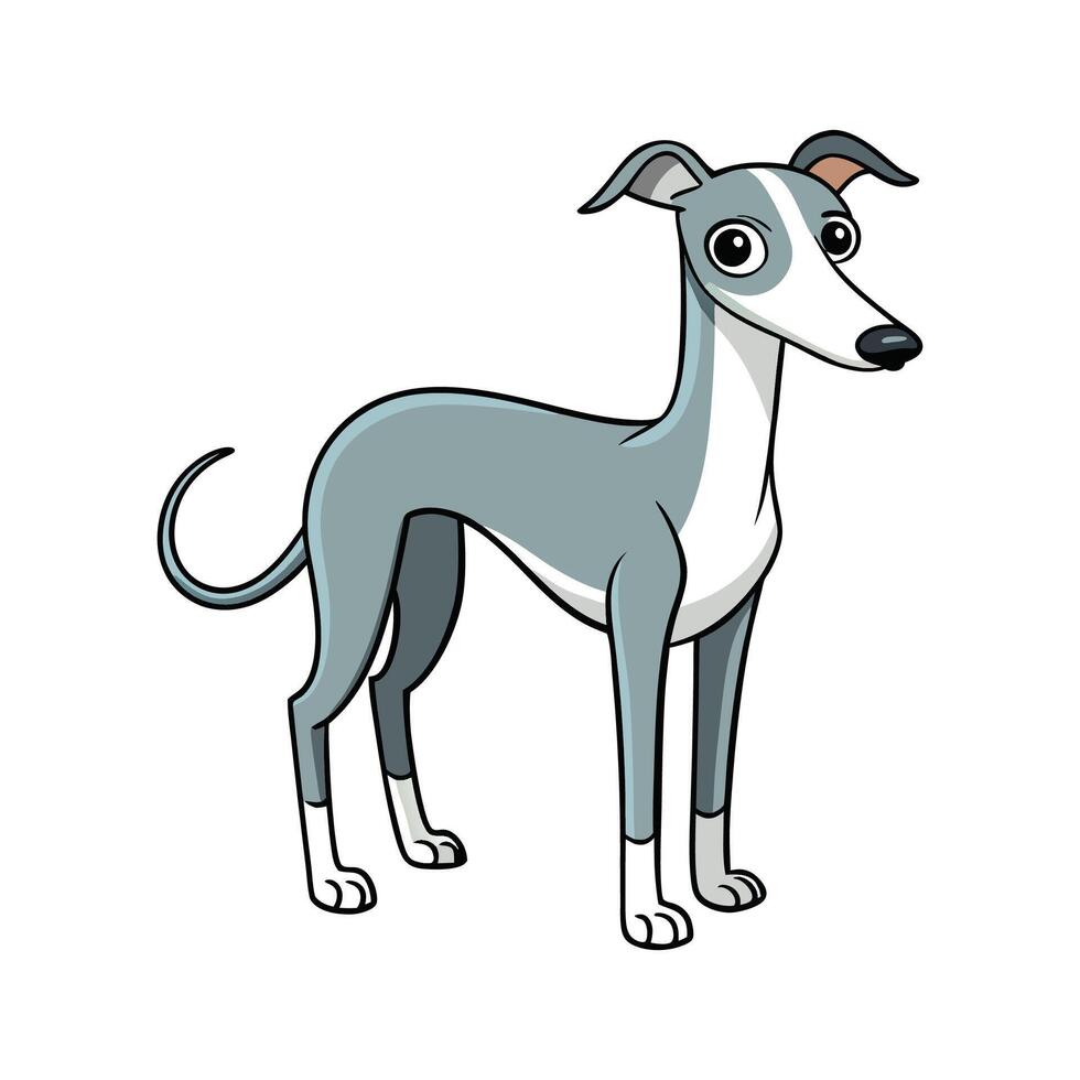 Creative Whippet for Unique Pet Art. Cartoon Art Animal Illustration vector