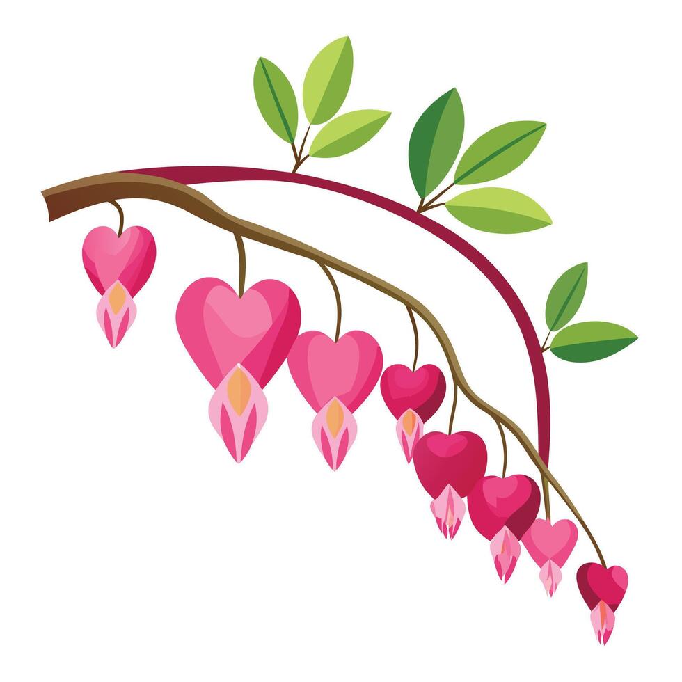 Unique Bleeding Heart Flowers with Cascading Petals and Flower Concept vector