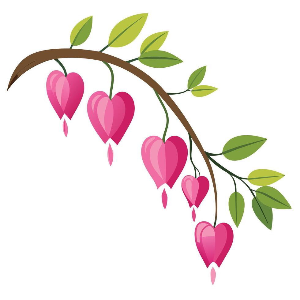 Exquisite Bleeding Heart Flowers with Cascading Petals and Flower Concept vector