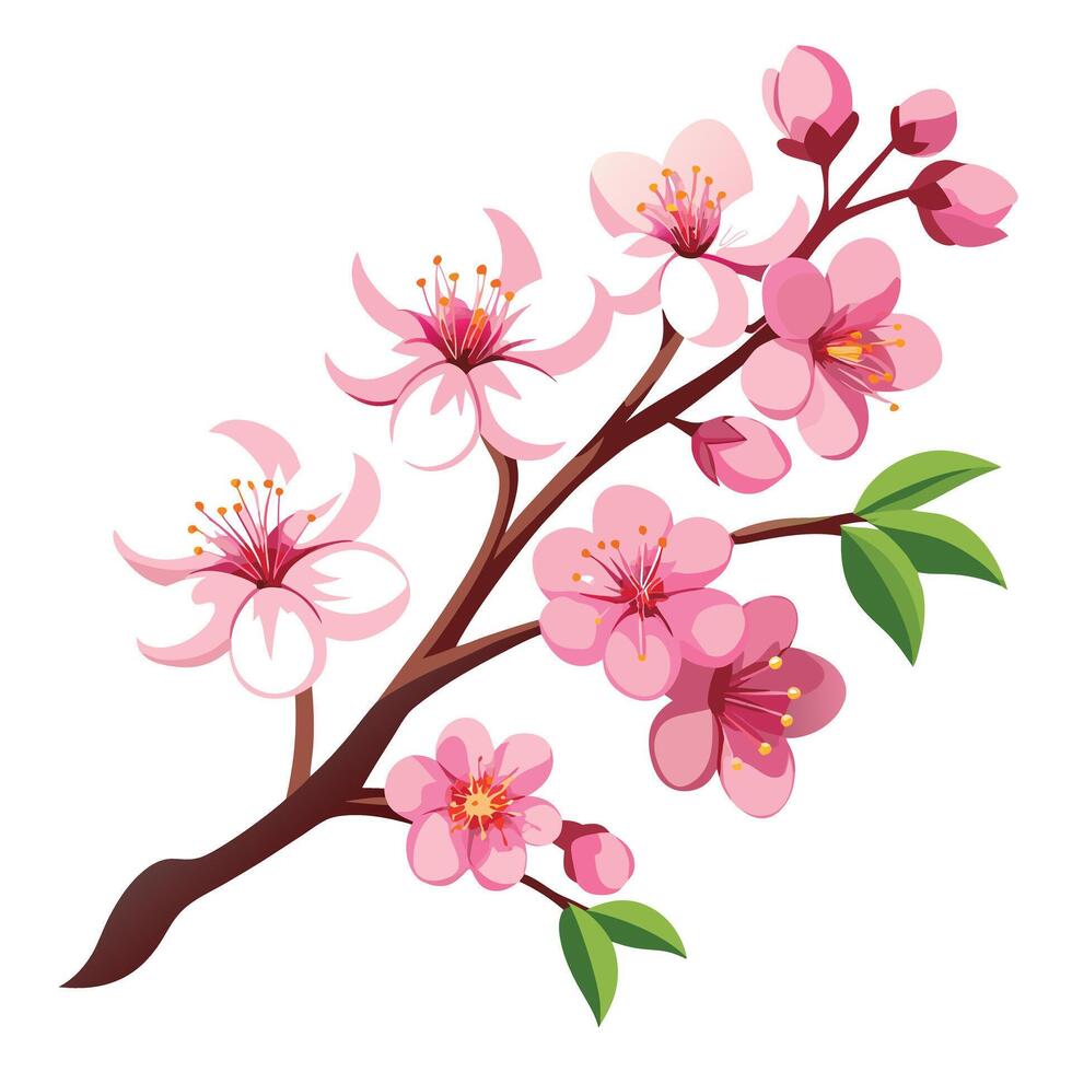 Graceful Cherry Blossom Branch with Soft Pink Petals and Flower Concept vector