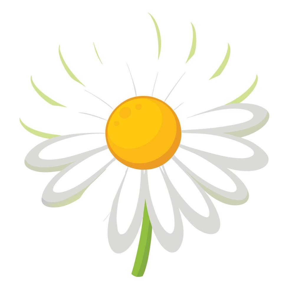 Bright Daisy with a Cheerful Yellow Center and Flower Concept vector