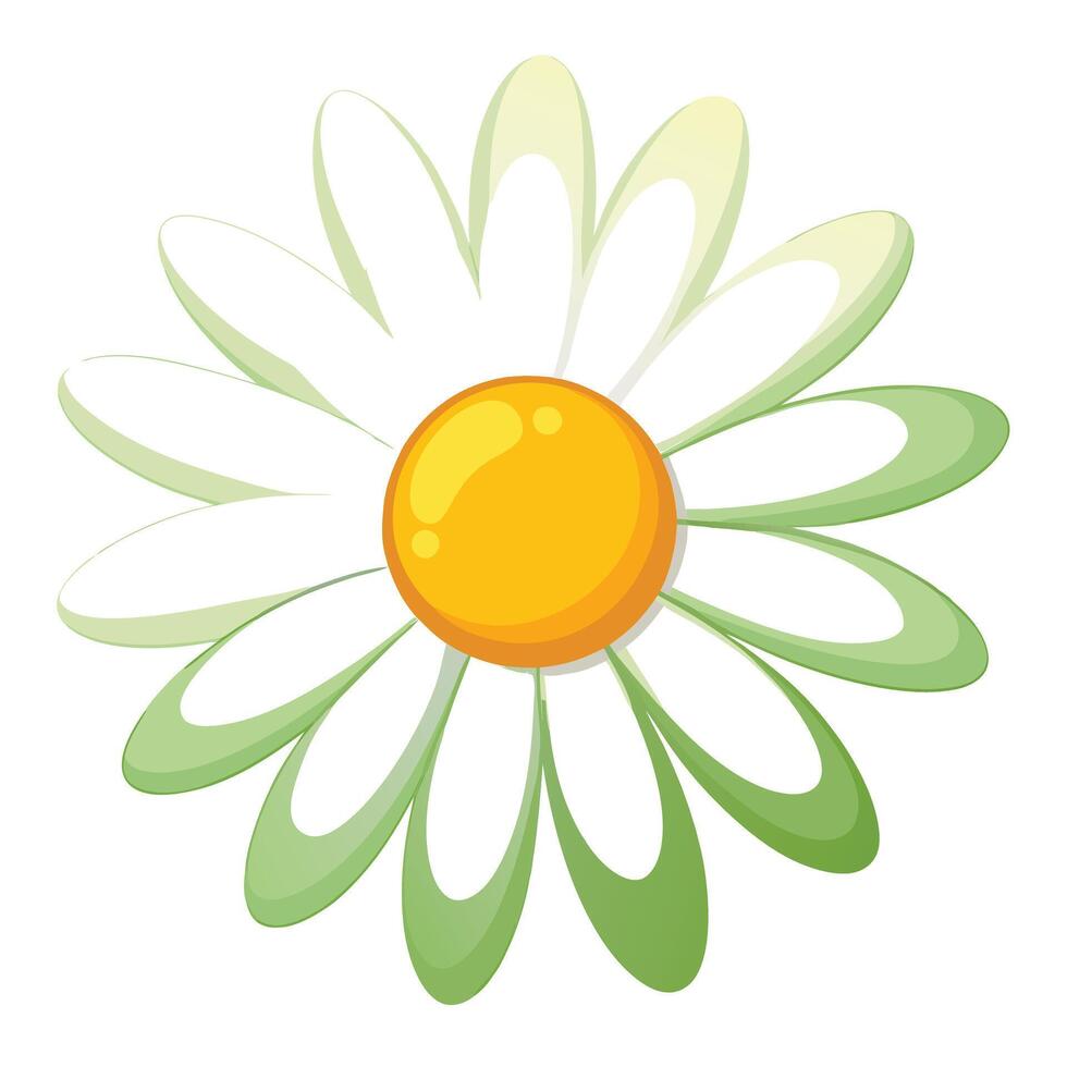 Vibrant Daisy with a Cheerful Yellow Center and Flower Concept vector