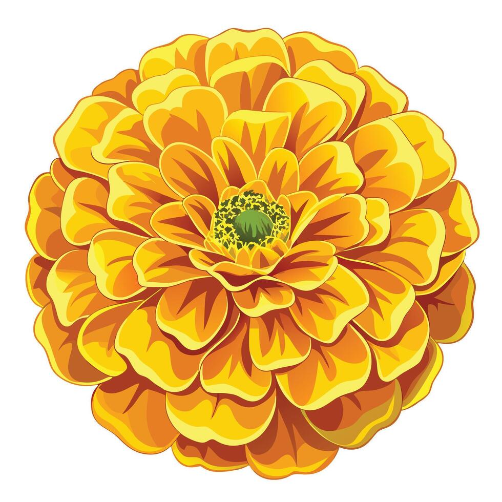 Intricate Golden Marigold with Lush Ruffled Petals and Flower Concept vector