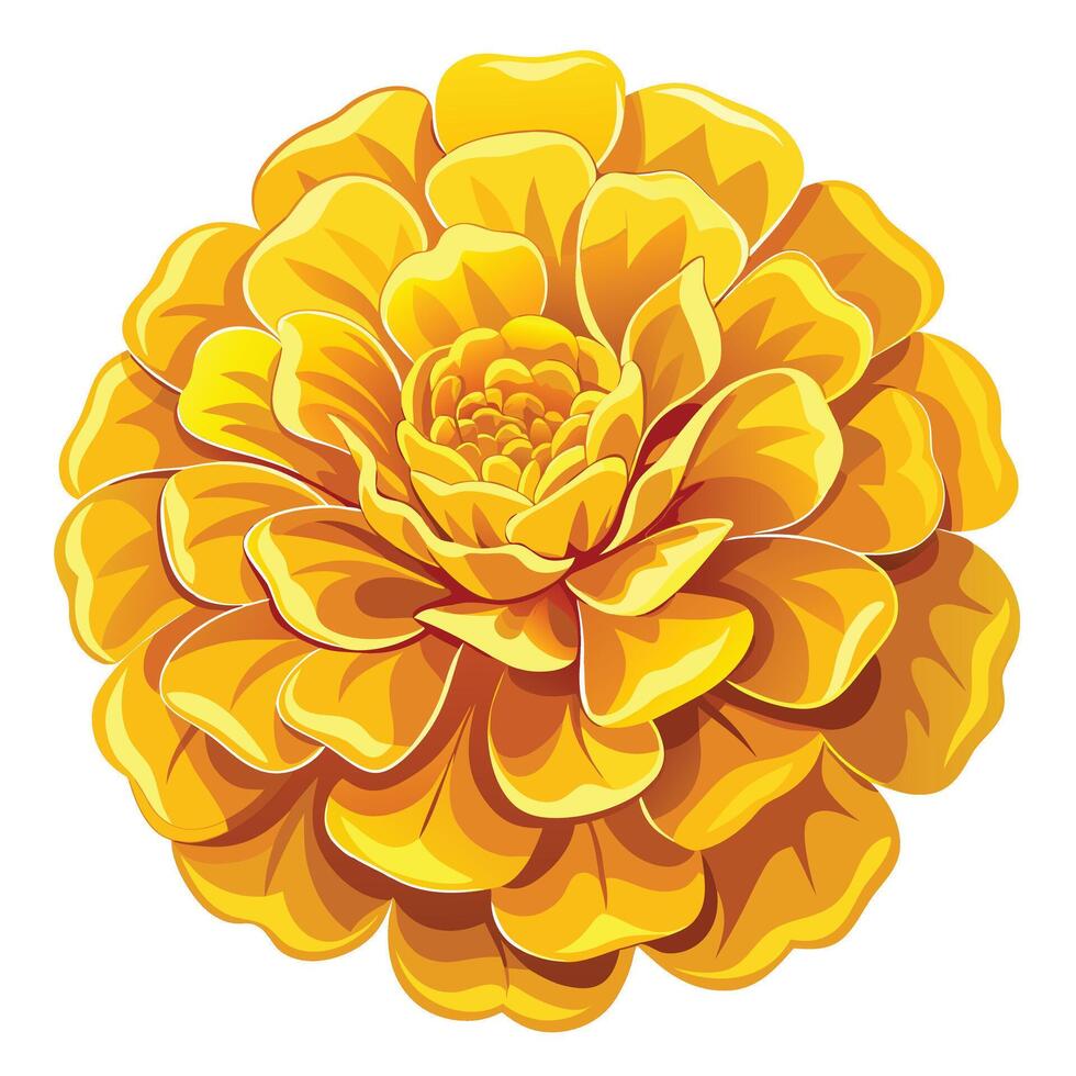 Vibrant Golden Marigold with Lush Ruffled Petals and Flower Concept vector