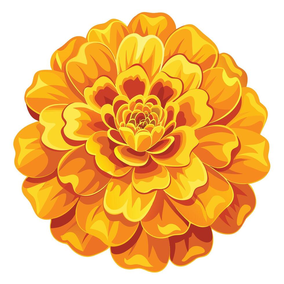 Elegant Golden Marigold with Lush Ruffled Petals and Flower Concept vector
