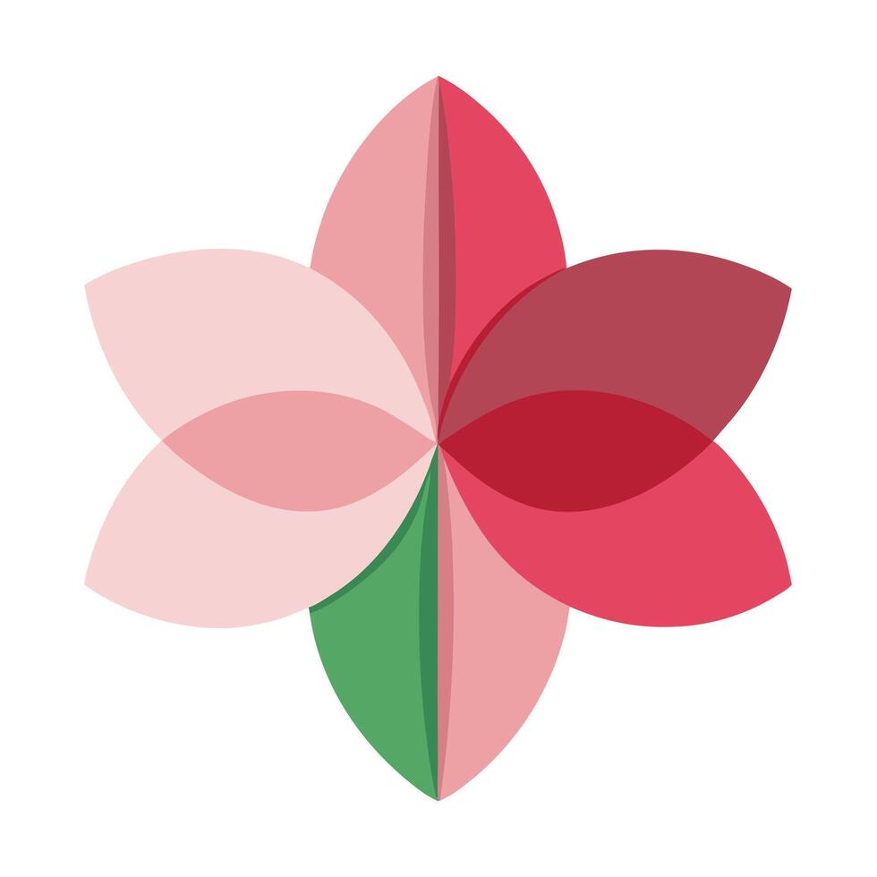 Elegant Modern Asymmetry Split Petal Blossom and Flower Concept vector