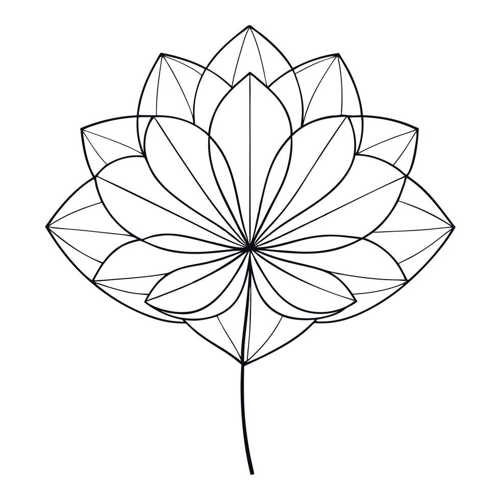 Delicate Precision Thin Wireframe Petal Flower and Flower Concept vector