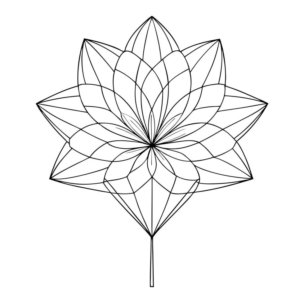 Elegant Delicate Precision Thin Wireframe Petal Flower and Flower Concept vector