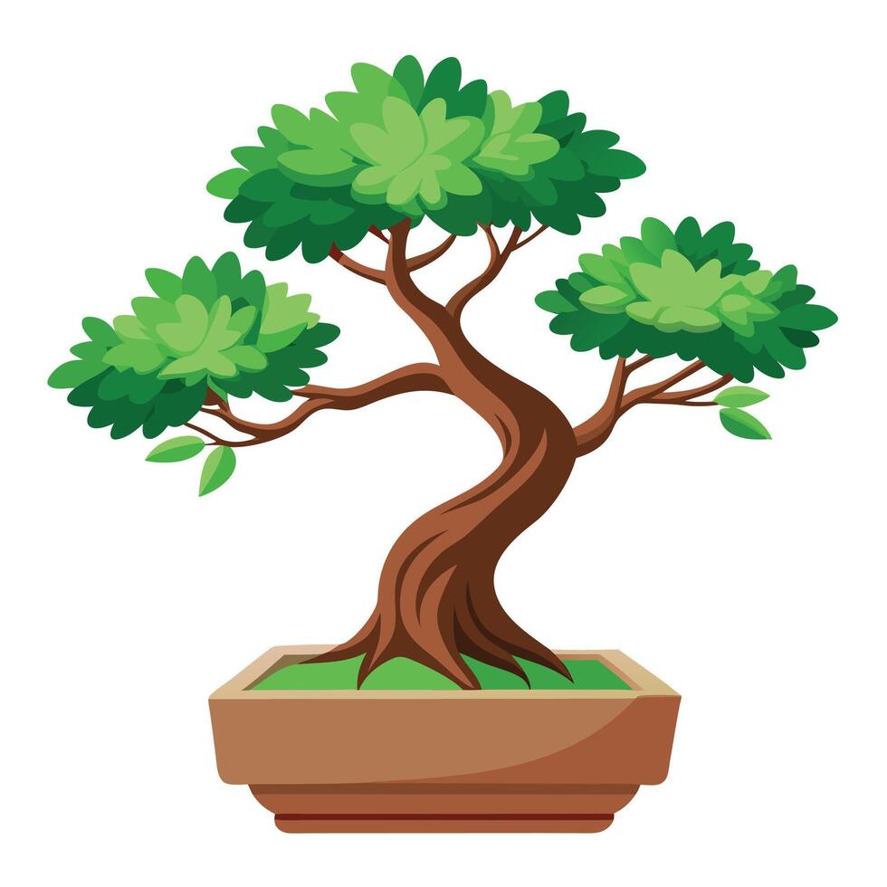Miniature Bonsai Tree Icon in a Pot Isolated on White vector