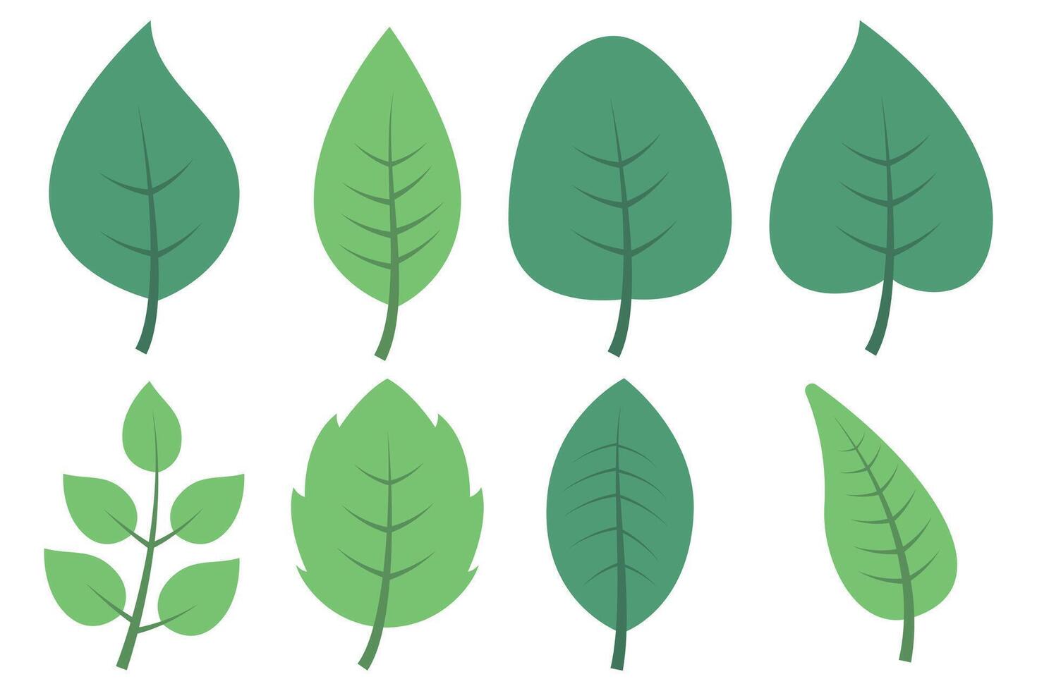 A set of green leaves on a white background vector