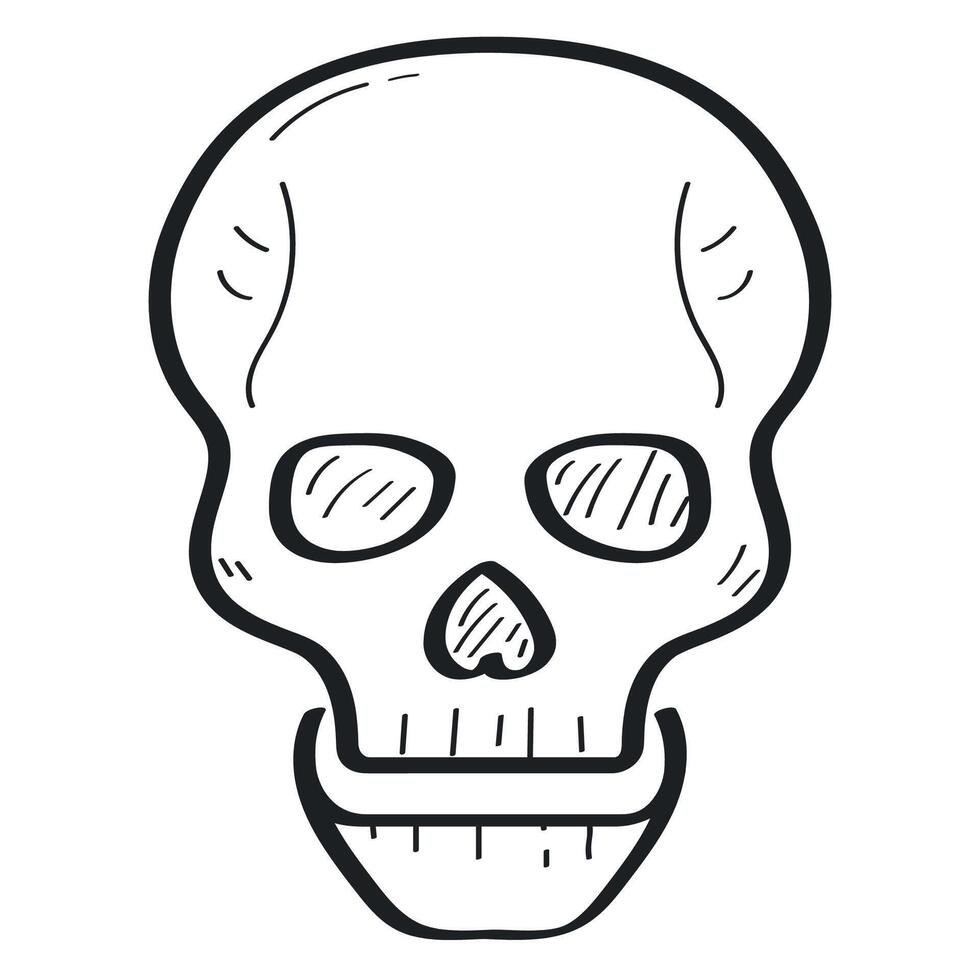 A skull with a mouth open in a line drawing vector