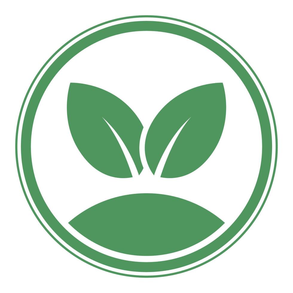 A green leaf icon on a white background vector
