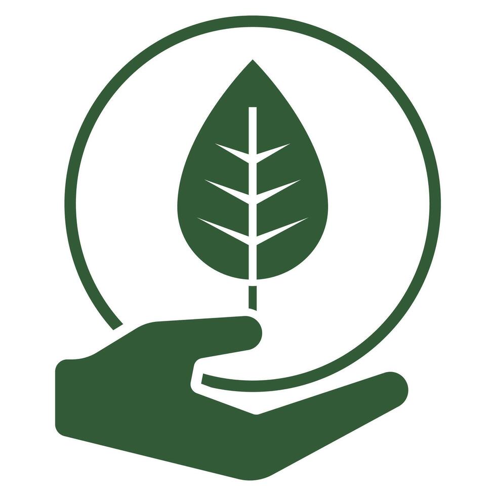 A green leaf in a hand icon vector