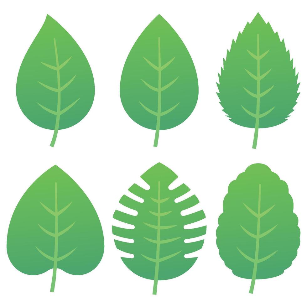 Green leaves gradient style vector