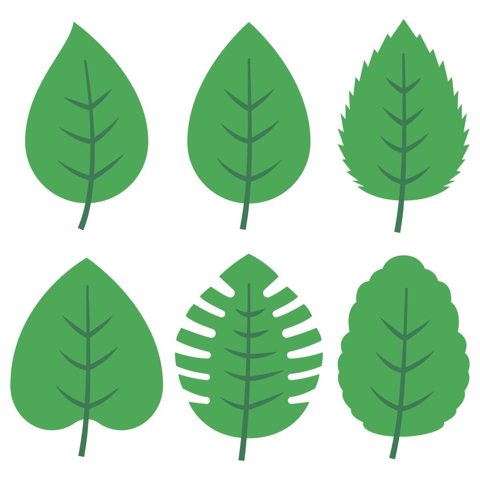 set of green leaves vector