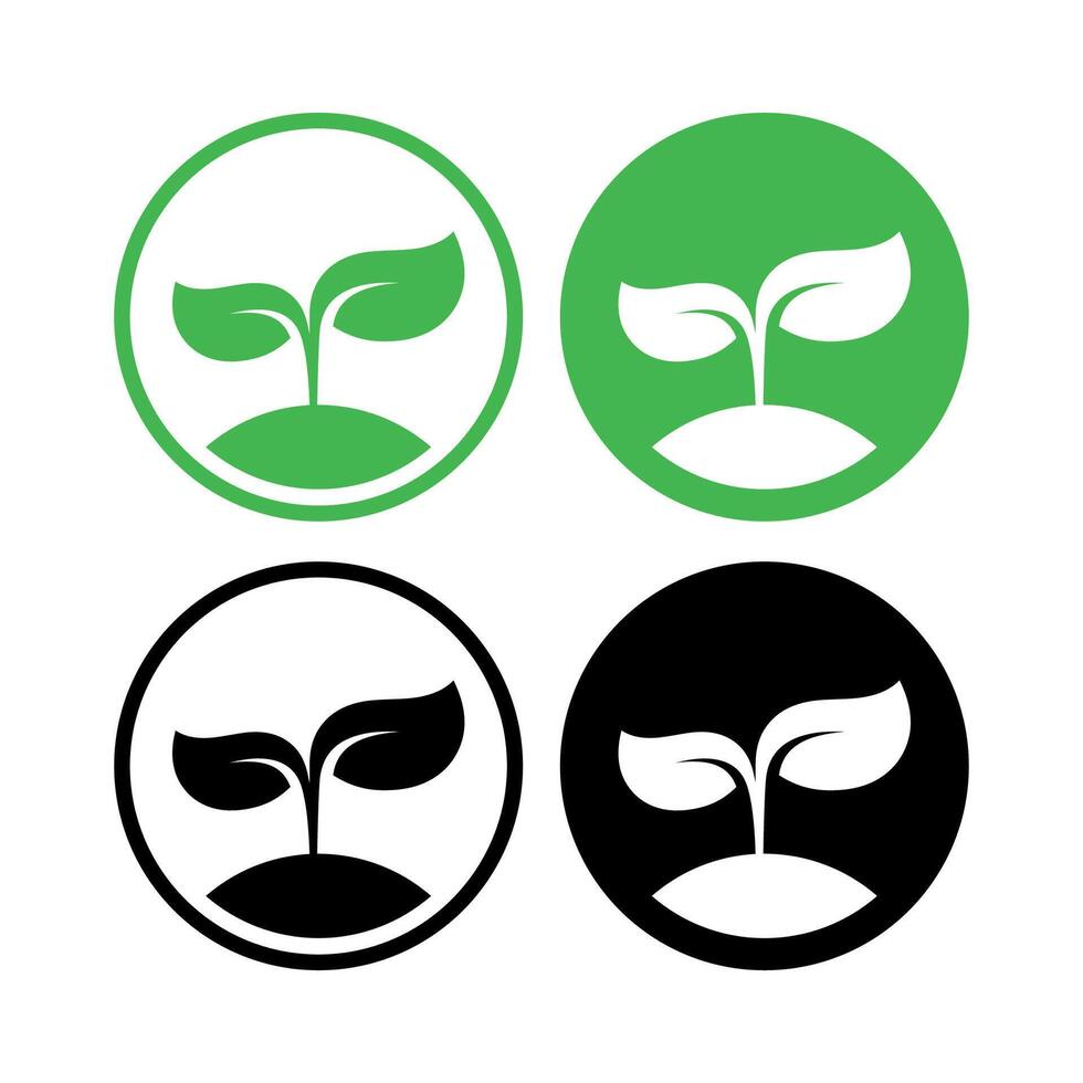 Set Of Growing Leaves Circles Set vector