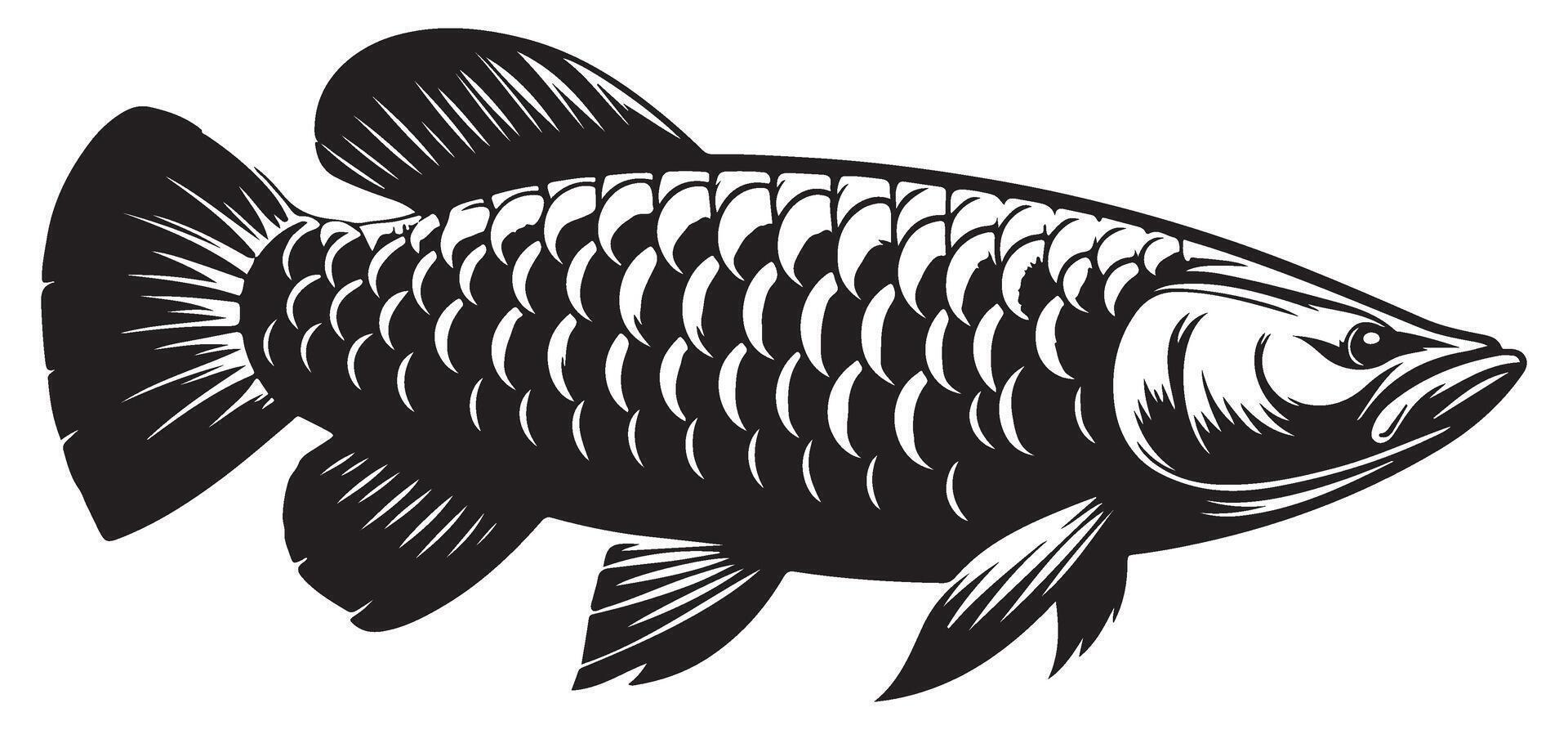 Elegant Asian Arowana Fish Illustration With Detailed Scales vector