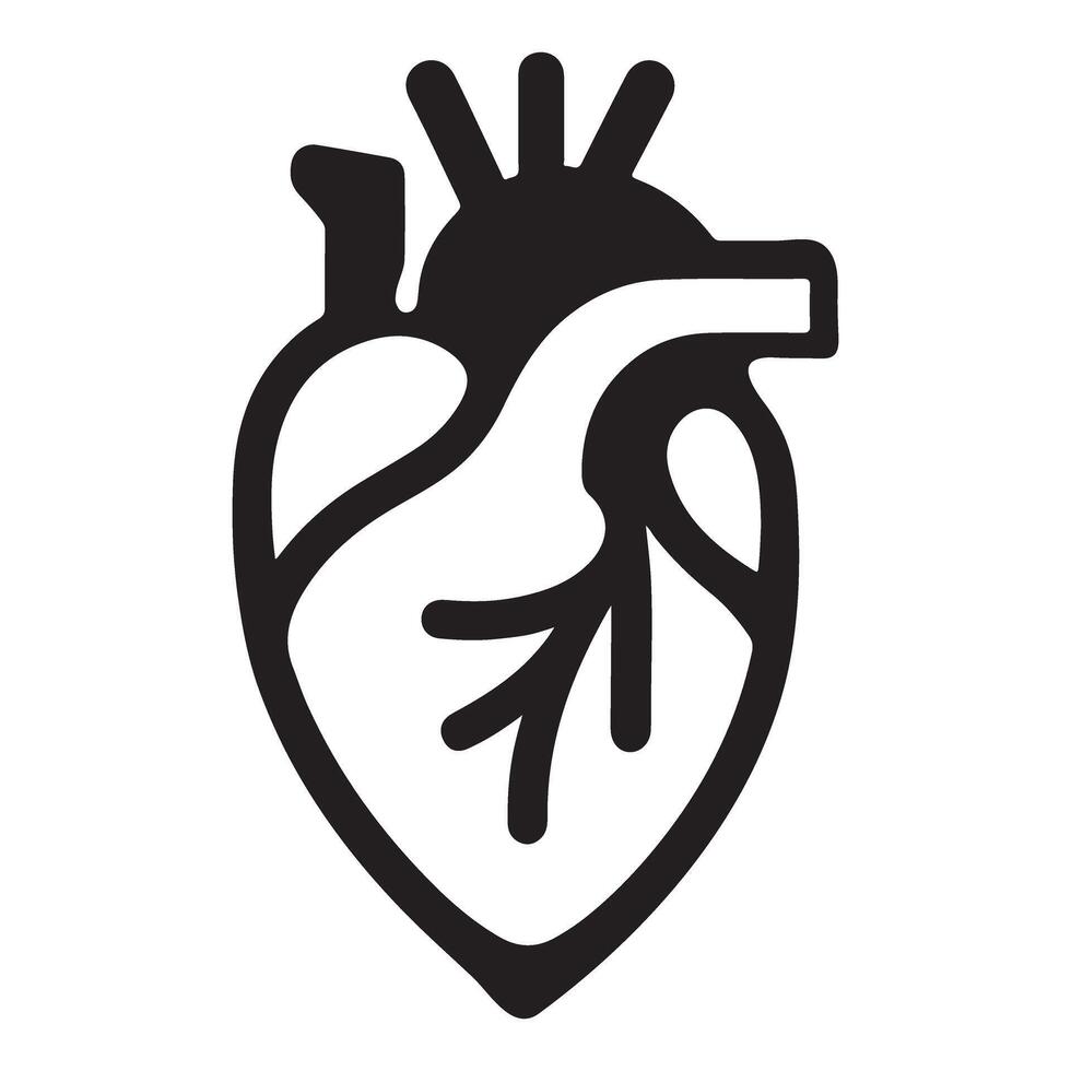 Anatomical Heart Silhouette for Medical Art Projects vector