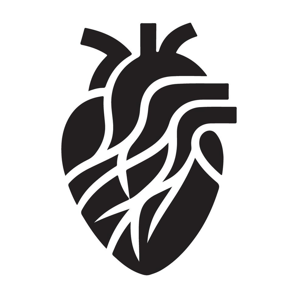 Anatomical Heart Illustration Understanding the Cardiovascular System Organ vector