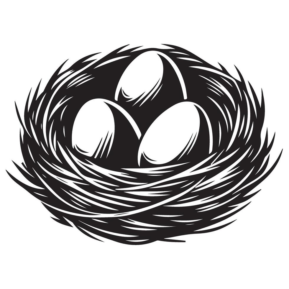 Detailed bird nest drawing with three delicate white eggs vector