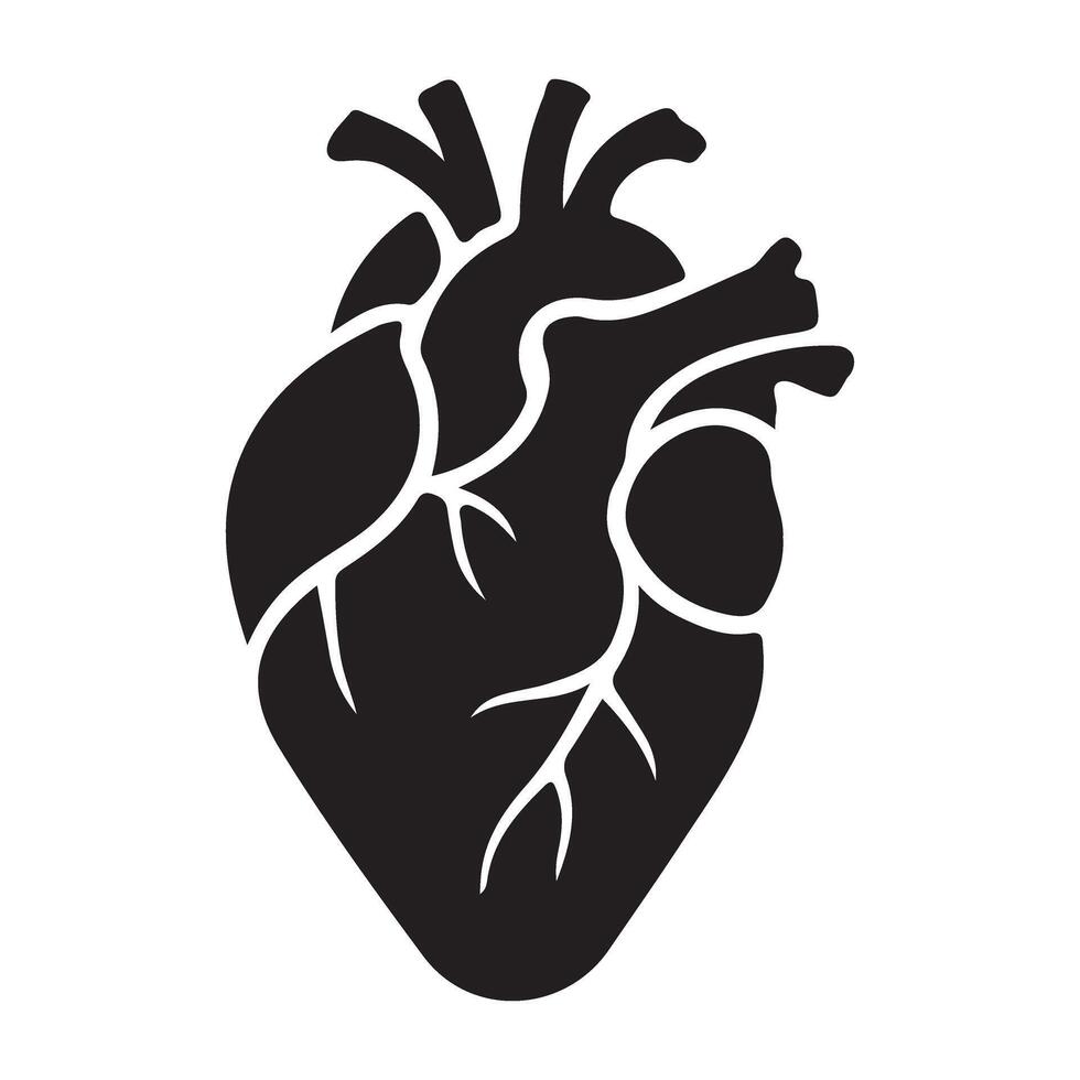 Anatomical Heart Silhouette Artwork for Medical Design vector