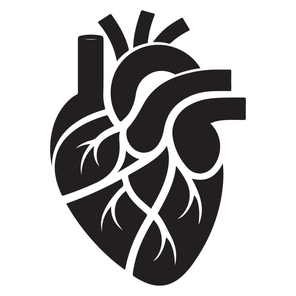 Detailed Anatomical Heart Silhouette for Medical Science Graphics vector