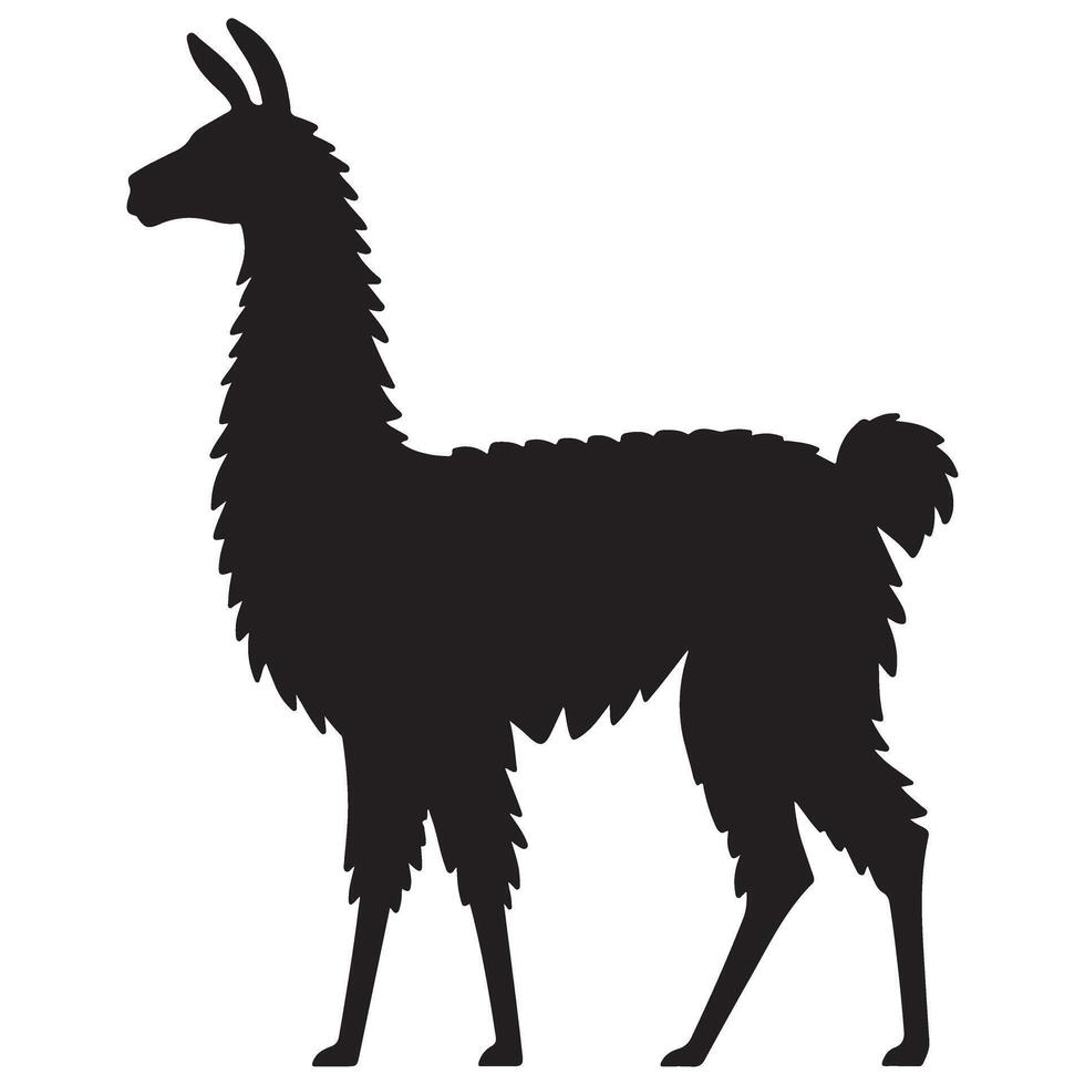 Striking Llama Silhouette Illustration Standing Tall with Elegant Profile vector