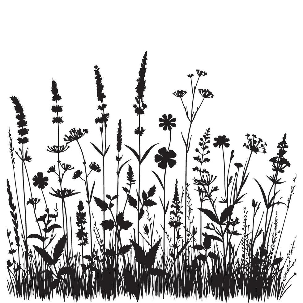 Black Silhouette Art of Wild Plants and Flowers for Designers vector