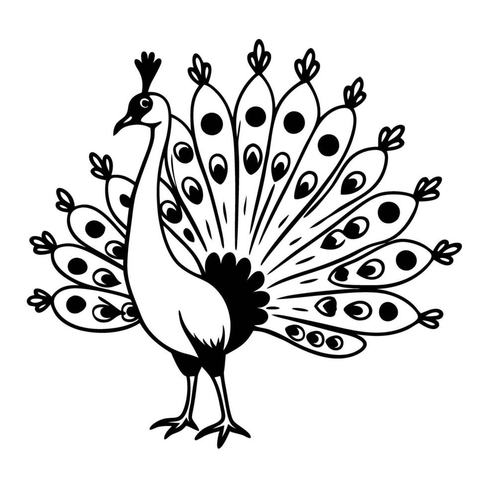 elegant peacock illustration with intricate tail feathers, monochrome black and white design vector