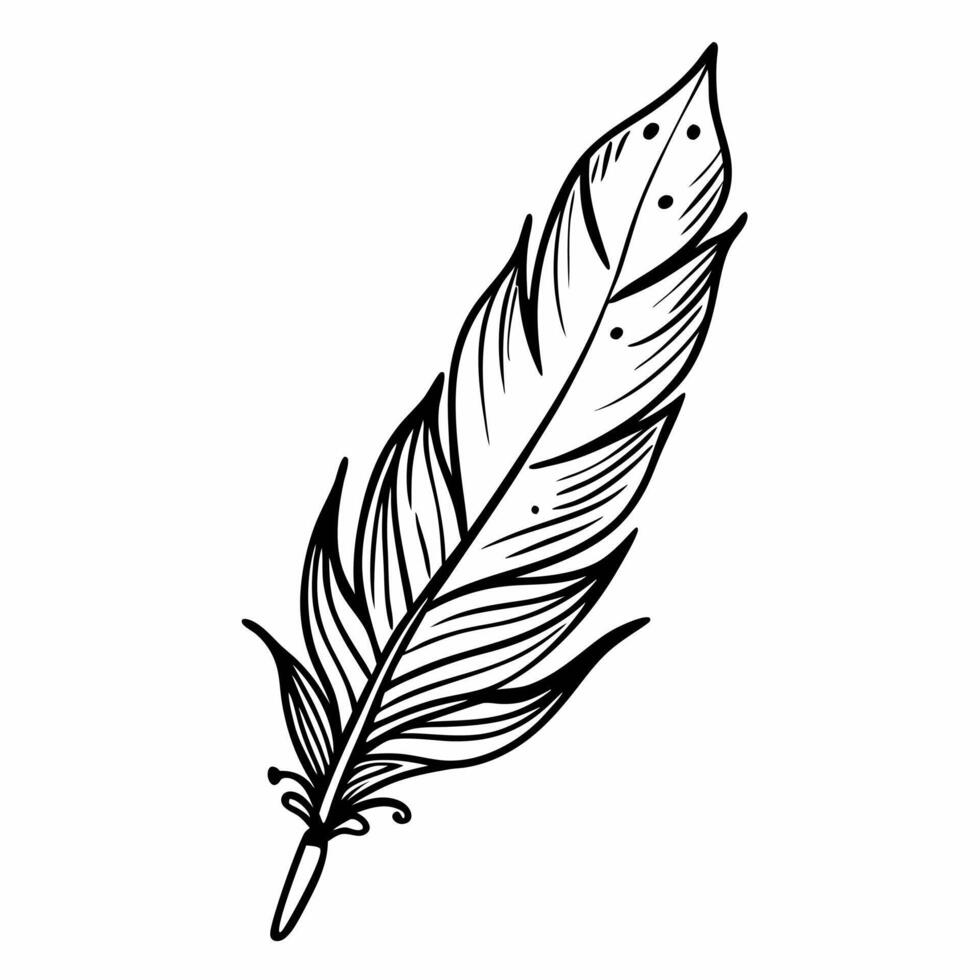 Intricate Feather Illustration Detailed Black and White Line Art Design vector