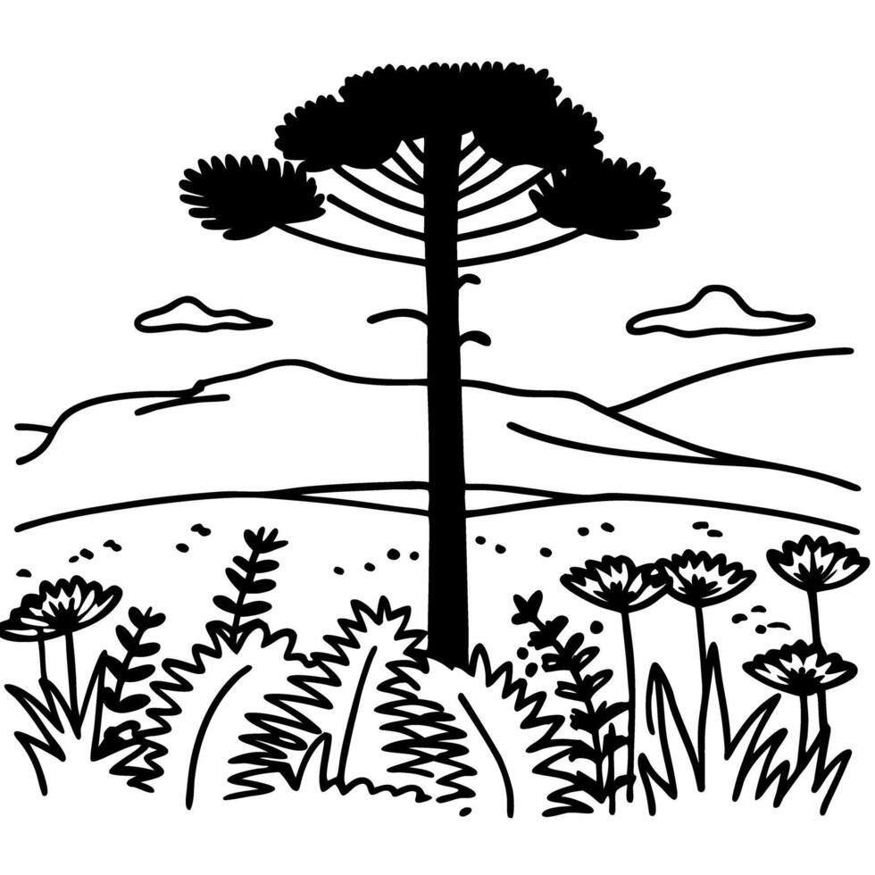 Araucaria tree in natural landscape, mountains and wildflowers, scenic black and white illustration vector