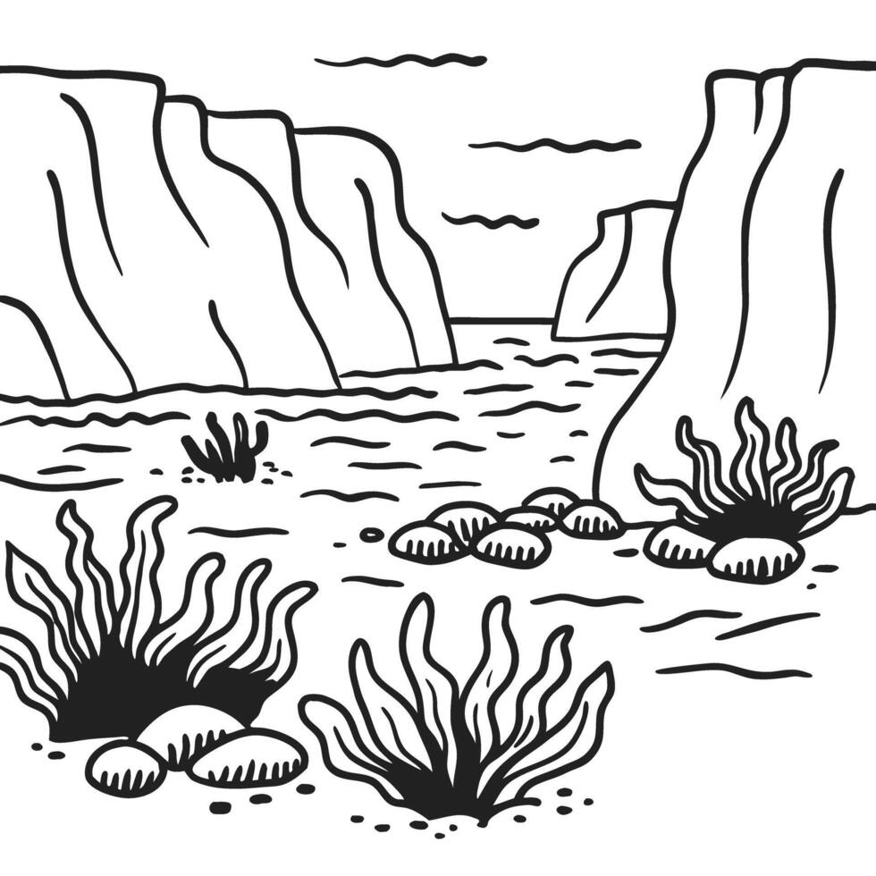 Underwater coral reef and seaweed in ocean landscape with rocks and aquatic plants vector