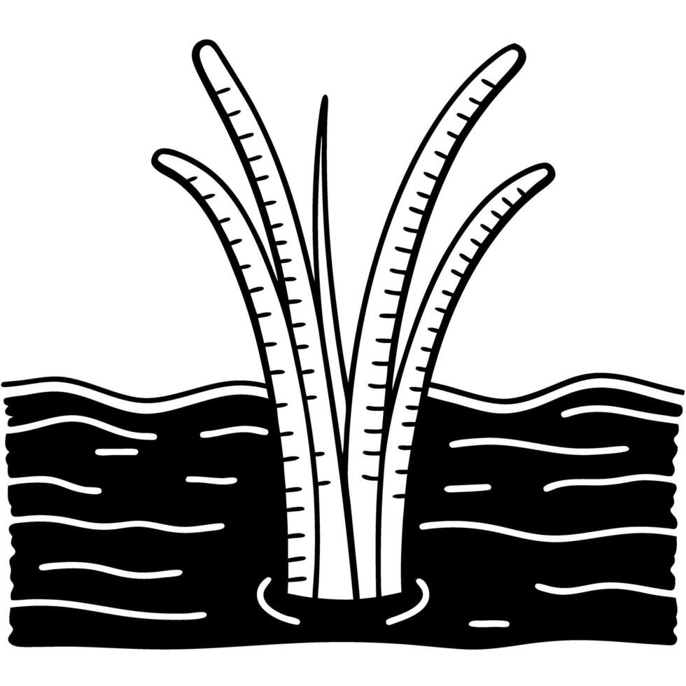 black and white aquatic plant illustration, water reeds in stylized design, minimal nature art vector