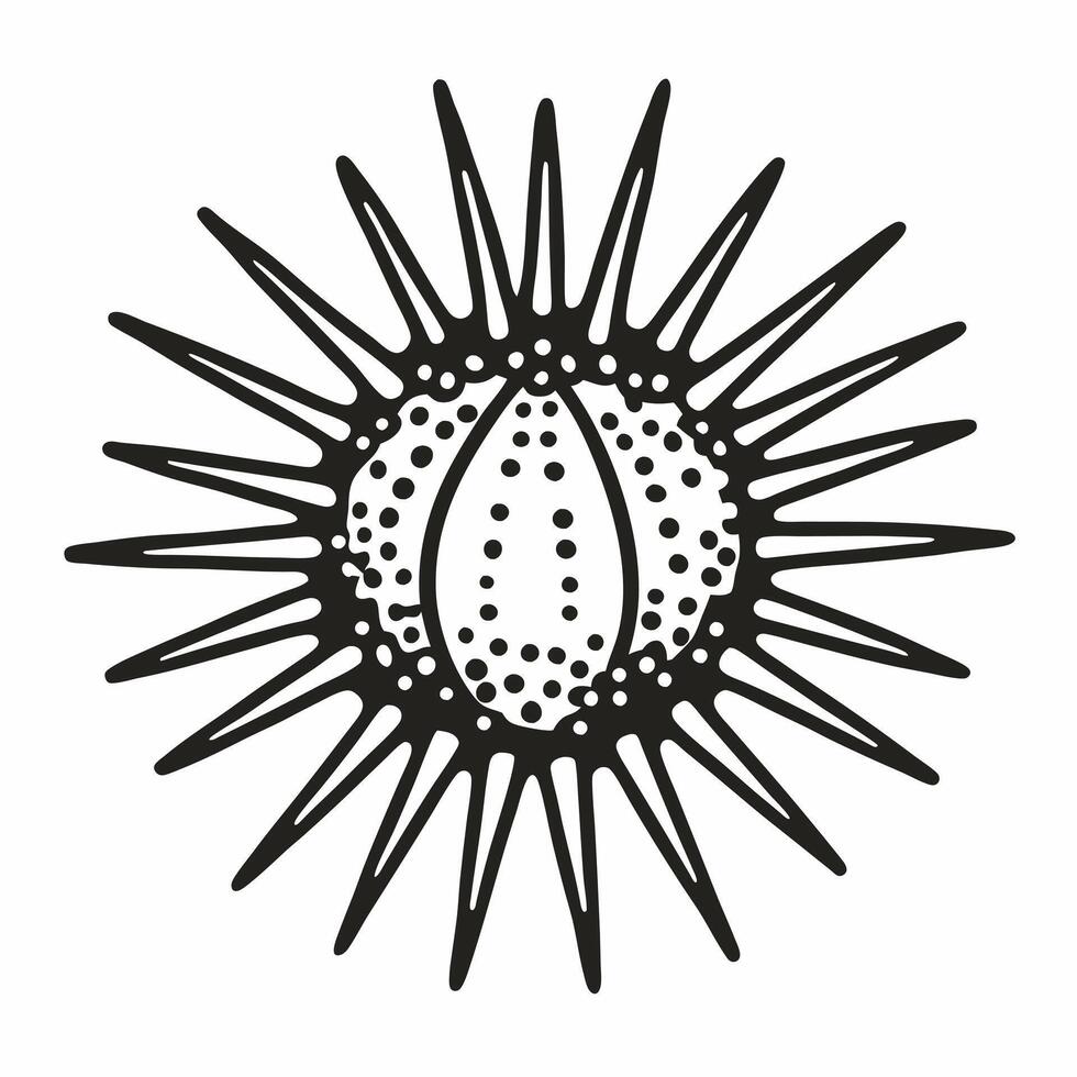 Abstract Monochrome Sea Urchin Illustration with Spiky and Dotted Design vector