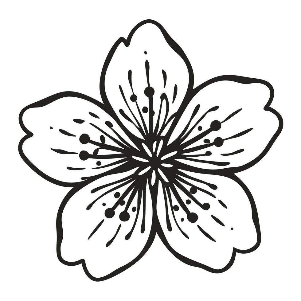 Elegant Black and White Cherry Blossom Illustration for Minimalist Designs vector