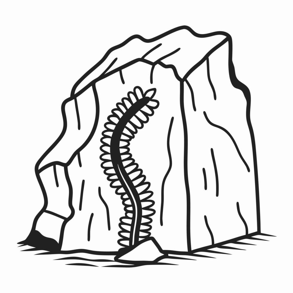Nature's backbone rock formation with spiral design, geological art in stone vector