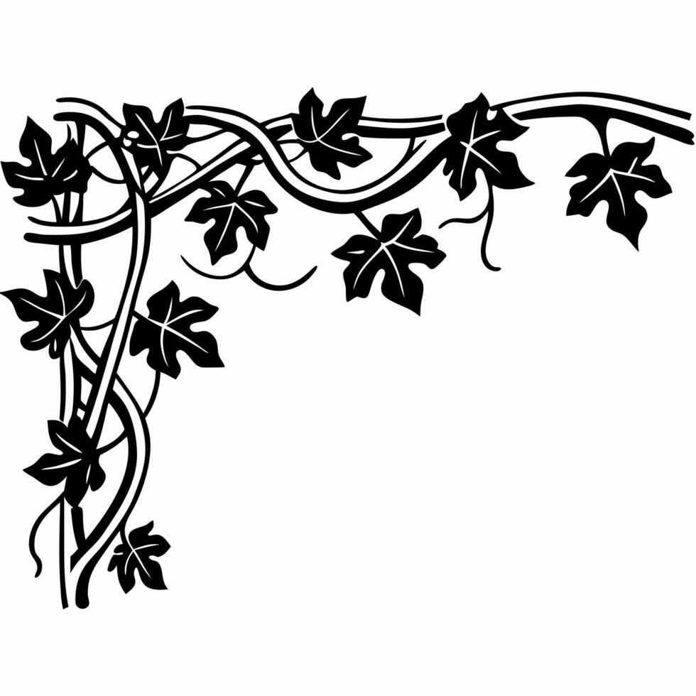 Ornate ivy corner design elegant black vine pattern, leaves intertwined, artistic decorative frame element vector