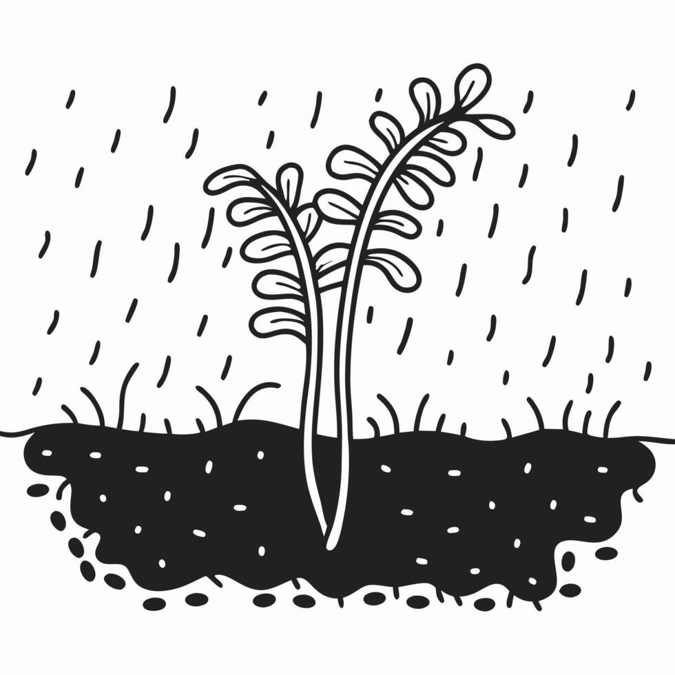 growing plant in rain seedling under rainfall, nurturing nature, sustainability and growth concept vector