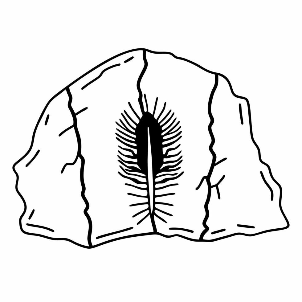 Cracked geode illustration with textured details and central opening vector