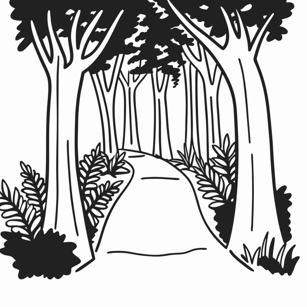 woodland path illustration with trees and foliage black and white scenic forest design, nature sketch vector